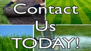 Best Atlanta Lawn Care Service