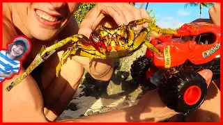 Monster Truck Lobster Vs Real Crab EPIC BATTLE!