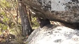 Встреча с 
