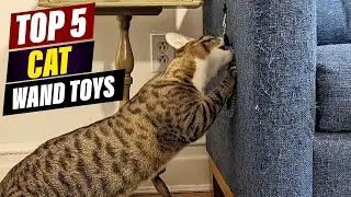 Top 5 Wand Toys Your Cat Will OBSESS Over