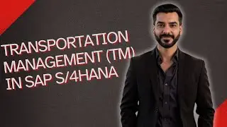 Transportation Management (TM) in S/4HANA Explained | Features, Process Flow & Examples