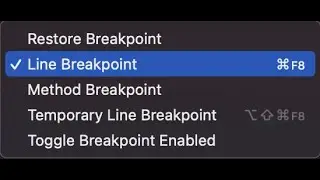 Debugger Basics in Intellij IDEA #2:  Breakpoints