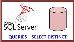 SQL Server - Query Table Record Data via TSQL - SELECT DISTINCT