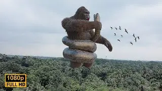 King Kong vs Big Snake Epic Fight