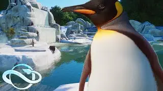 Icy Penguin Habitat 🐧 Aquatic Pack Zoo | Planet Zoo Speed Build - Aquatic Pack