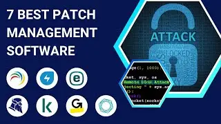 7 Best Patch Management Software Tools in 2024 (Full Demo)