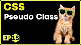 CSS Pseudo-Classes Selectors | CSS in Hindi - 15 #css3