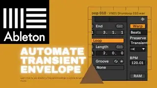 How to automate transient envelop in clip view in Ableton