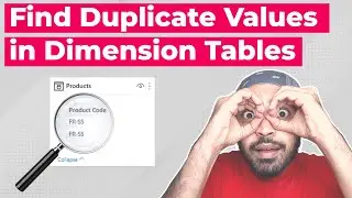 Find Duplicate Values in Dimension Tables