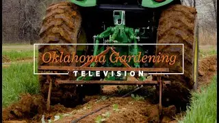 Oklahoma Gardening March 16, 2024