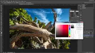 How To Make An Unobtrusive Watermark In Photoshop