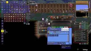 THE BOYZ ARE BACK AT IT AGAIN | Terraria w/ Mody