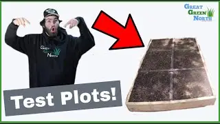 What Grass Seed Is the Best? | Test Plot Reveal