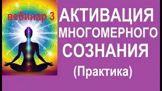 ПРОБУЖДЕНИЕ МНОГОМЕРНОГО СОЗНАНИЯ. Практика. Вебинар 3