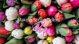 Quick Tips for Making Spring Colors Pop | Take Your Photography Further.