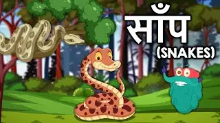 स्नेक | साँप | Snakes Video In Hindi | Dr.Binocs Show | Snake Facts For Kids |Reptiles |Binocs Hindi