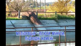Сезон зрошення завершено: висновки аграрія з півдня Одещини