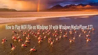 How to Play MOV File on Windows 10 with Windows Media Player 12?