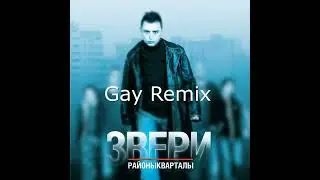 ЗВЕРИ Районы-кварталы (GAY REMIX)