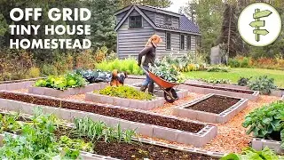 Living Off-Grid on a Tiny House Homestead for 6 Years