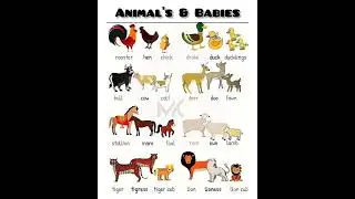 Animals🐵🐔🐶🐷 with their babies 