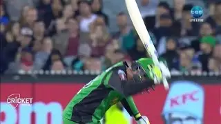 Zampa gets run-out, breaks bat