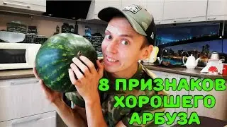 8 признаков хорошего арбуза / Как выбрать спелый арбуз