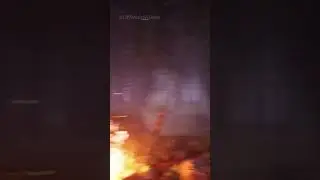 You shouldn’t have gone camping. 