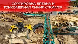 Сортировка бревна и Тонкомерная линия Cronver