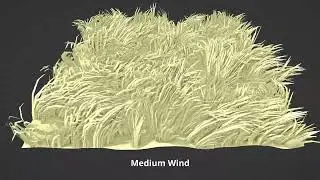 Geometry Nodes grass wind. No SImulation.