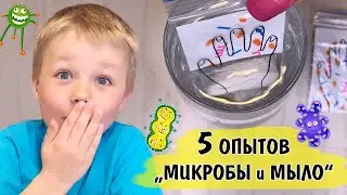 5 опытов для детей о микробах. Почему нужно мыть руки с мылом?