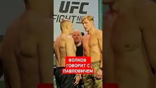 Александр Волков vs Сергей Павлович / Напряжение на дуэли взглядов