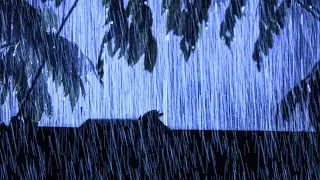 Defeat Stress to Sleep Instantly 😴 with Rain Sounds & Rumbling Thunder on a Tin Roof in the Forest