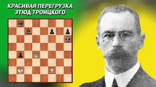 Красивая перегрузка. Шахматный этюд. Алексей Троицкий. Издание 