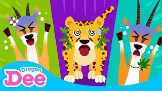 Gazelle,  Gotta Bounce! 🐆 | Gazelle vs Cheetah | Animal Songs 🐾 | Dragon Dee Songs for Children