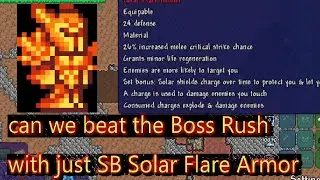 Terraria Supreme Buffed Solar Flare Armor vs For The Worthy Calamity Mod Malice Mode Boss Rush