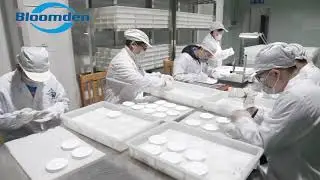 Bloomden Zirconia How it's made