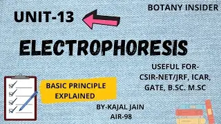 Unit-13| Electrophoresis | Basic principle| Types | Agarose Gel | CSIR-NET JRF II