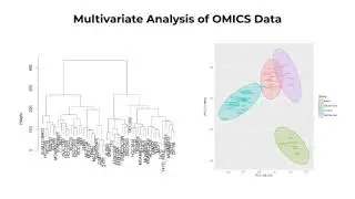 R/Python for Biomedical Data Analysis: Learn the syntax, practise the code & finalize your research