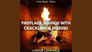 Fireplace Sounds with Crackling & Hissing: One Hour (Loopable)