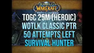 TOGC 25m (HEROIC) 50 attempts left, Survival HUNTER PoV - WOTLK CLASSIC PTR