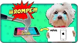 Mi Perro ROMPE todo los REGALOS que sea que YO DIBUJE!🎁🔨 Anima Dogs