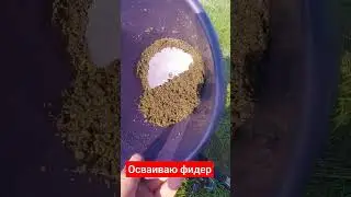 Осваиваю фидер