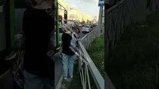 Водитель троллейбуса обматерил девушку-водителя и выкинул ее вещи