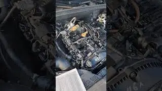 Капиталка или контрактник?