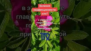 Самый 