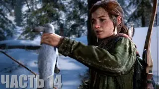 The Last of Us Part I Прохождение #14 