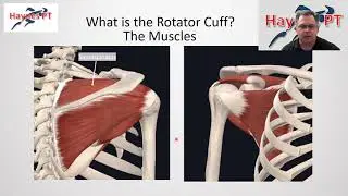 Rotator Cuff and Shoulder Workshop