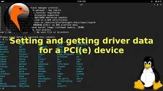 Setting and getting driver data for a PCI (Express) device in a Linux driver