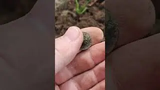 Пуговица когда-то великой армии☝️😉🤣😜 #metaldetecting #deus #коп #коп_монет #рыбалка #металлоискатель